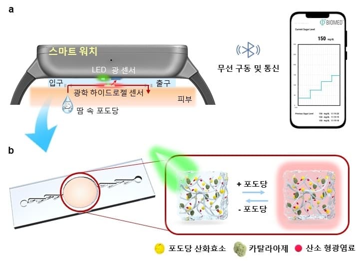 위고비 스마트 임상 연구 적용
