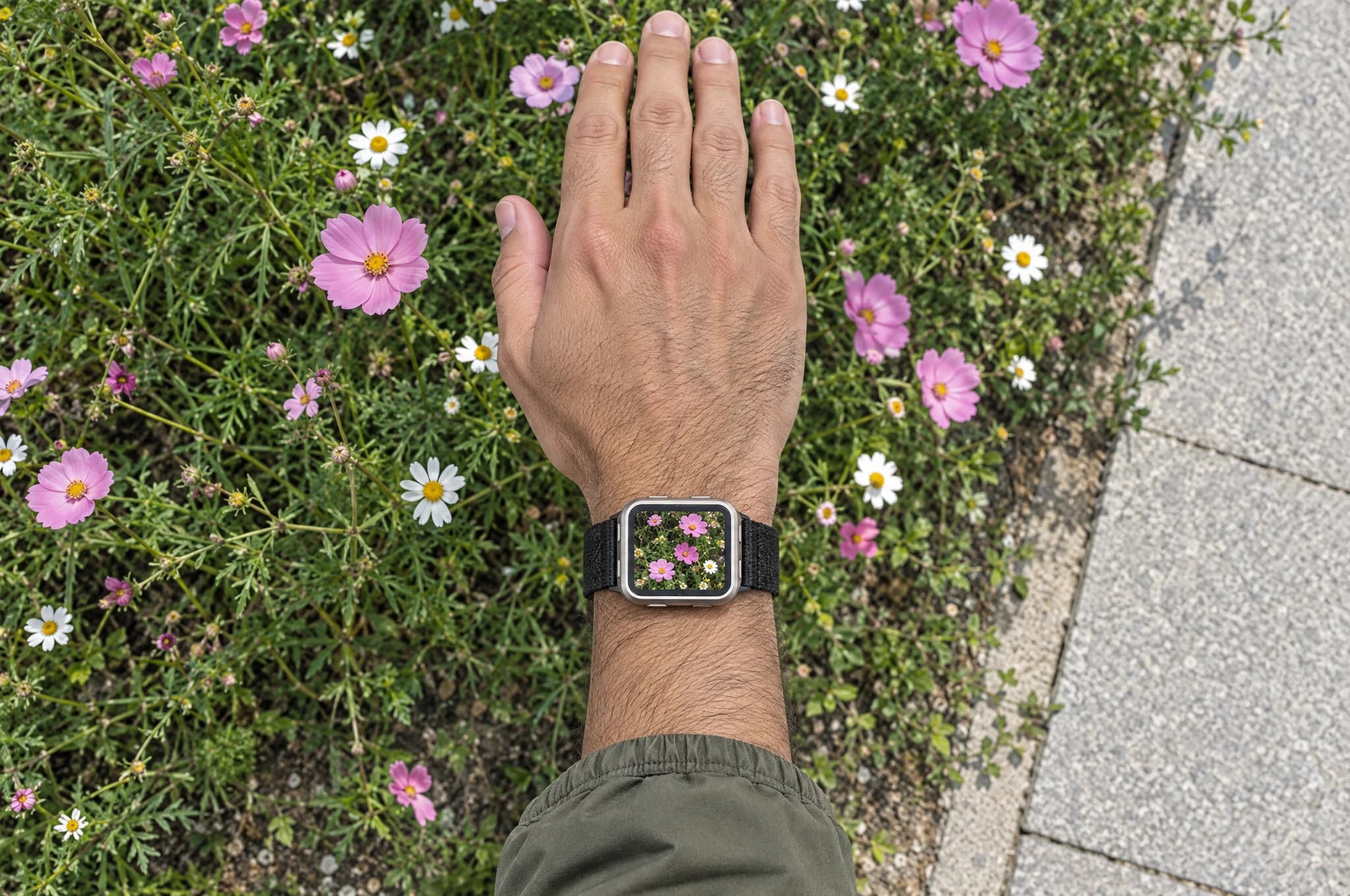 A right-wrist InHand Watch recording pink and white flowers